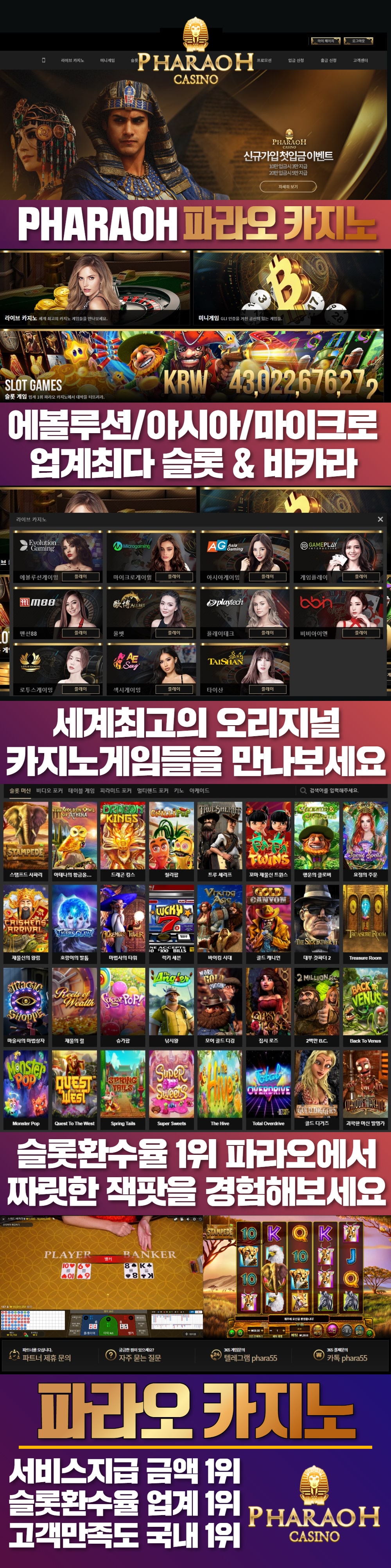 카지노 카지노사이트 파라오카지노 스포츠토토365
