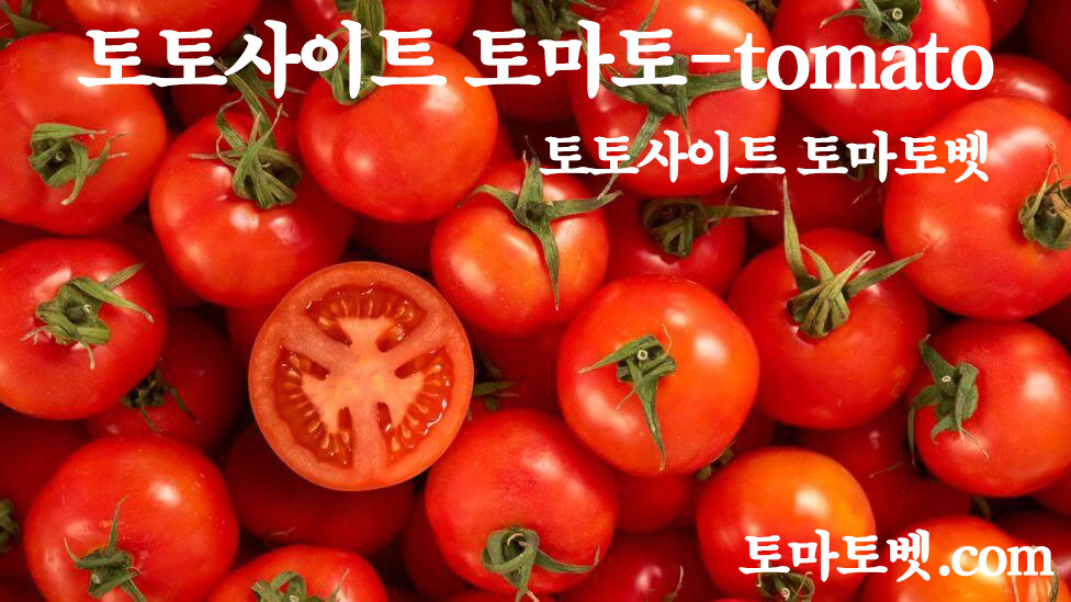 토토사이트 토토-토마토-tomato 스포츠토토365